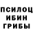 Псилоцибиновые грибы Psilocybe Gremlin