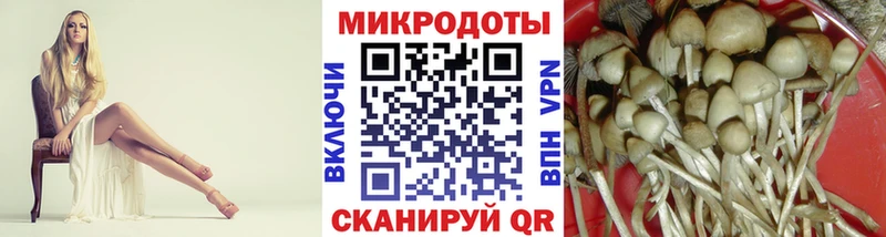 мега вход  Краснодар  Псилоцибиновые грибы Psilocybine cubensis 